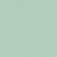 Пример покраски на флизелине образец цвета Eskaro NCS S 1515-G