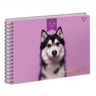 Набор альбомов для рисования Elegant Dog А4 20 листов 3 шт. на спирали 130439 YES