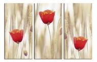 Картина модульная Маки 120x80 см WallArt 54370-3.2