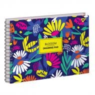 Набор альбомов для рисования Blossom А4 30 листов 3 шт. на спирали 130453 YES