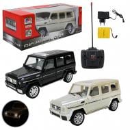 Автомобіль на радіокеруванні Shantou 1:14 UD2105A