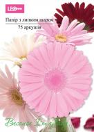 Бумага самоклеящаяся Because I am а lady Гербера 75 лист. L1221 LEO