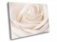Картина Светлая роза 60x45 см WallArt 54375-1.2