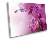 Картина Цветение орхидеи 60x45 см WallArt 54376-1.2