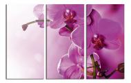 Картина модульная Цветение орхидеи 180x120 см WallArt 54376-3.4 Картина модульная Цветение орхидеи 180x120 см WallArt 54376-3.4