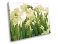 Картина Нарциссы 80x60 см WallArt 54377-1.3