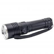 Фонарь Quantum Solid-H 10W LED з USB-C, blister 1000 Lm QM-FL1020-21700/4000-PB