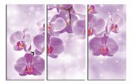 Картина модульная Волшебная орхидея 90x60 см WallArt 54379-3.1