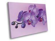 Картина Фиолетовая орхидея 40x30 см WallArt 54381-1.1