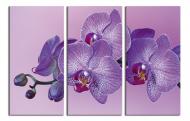 Картина модульная Фиолетовая орхидея 90x60 см WallArt 54381-3.1