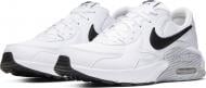 Кроссовки мужские демисезонные Nike AIR MAX EXCEE CD4165-100 р.44 белые