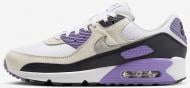 Кроссовки мужские Nike Air Max 90 DM0029-114 р.44 разноцветные