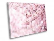 Картина Нежное цветение сакуры 40x30 см WallArt 54390-1.1