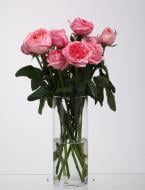 Роза Pink Expression одноголовая пионовидная 60 см розовая (Нидерланды)