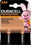 Батарейки Duracell Professional AAA (LR03, 286) 2 шт. (81578679)