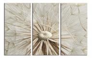 Картина модульная Одуванчик 150x100 см WallArt 54394-3.3