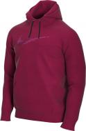 Джемпер Nike M NK DRY HOODIE PO SWOOSH CJ4268-620 р. XL красный