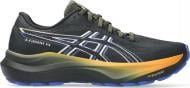 Кроссовки мужские Asics GT-2000 14 GTX 1011C058-001 р.46 черные