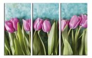 Картина модульная Розовые тюльпаны 90x60 см WallArt 54407-3.1