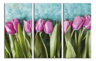 Картина модульная Розовые тюльпаны 180x120 см WallArt 54407-3.4