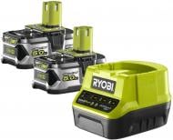 Зарядный комплект RYOBI ONE+ 18В 2х5.0 А·ч RC18120-250