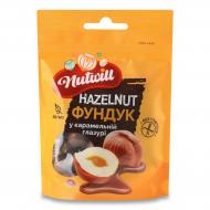 Драже ореховое Nutwill Фундук в карамельной глазури 100 г Драже ореховое Nutwill Фундук в карамельной глазури 100 г