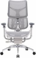 Кресло офисное Sihoo DORO S300 Mesh Light Grey черный