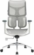 Крісло офісне Sihoo DORO S100 Mesh White білий