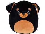 М'яка іграшка Jazwares Squishmallows Ротвейлер Матео 20 см темно-коричневий SQIF20-8BD