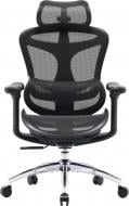 Кресло офисное Sihoo C300L Mesh Black черный