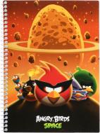 Блокнот  Angry Birds А5 48 л AB03274 Cool For School