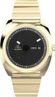 Наручные часы Q Series Timex gold (Tx2y34400)