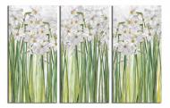 Картина модульная Нежные нарциссы 120x80 см WallArt 54423-3.2