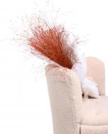 Паникум желтый/оранжевый (Нидерланды)