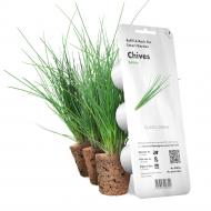 Сменный картридж Лук зеленый пластик прозрачный (7540) Click and Grow