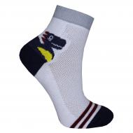 Носки детские унисекс Premier Socks Дино р. 18–20 белый