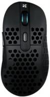 Мышка Dream Machines DM6 Holey Trio Wireless black (DM6_Holey_Trio)