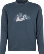 Футболка McKinley Bukka jrs 294768-509 синий