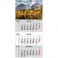 Календарь настенный Axent квартальный Nature 2 2026