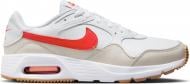 Кроссовки мужские демисезонные Nike Air Max SC CW4555-112 р.43 белые