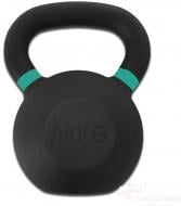 Гиря EXPLODE PD193-1-24 24 кг черный