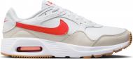 Кроссовки мужские Nike Air Max SC CW4555-112 р.42 белые
