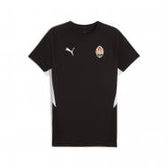 Футболка Puma FCSD EVOSTRIPE Tee Black-White 78281511 р.2XL черный