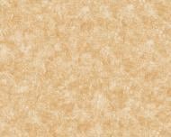 Обои виниловые на флизелиновой основе A.S. Creation Neue Bude 2.0 37428-1 0,53x10,05 м