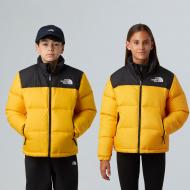 Куртка THE NORTH FACE TEEN 1996 RETRO NUPTSE JACKET NF0A8A4CGO71 р.M