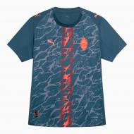 Футболка Puma FCSD Away Jersey Promo w/o Sponsor Gray 77970702 р.M серый