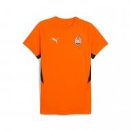 Футболка Puma FCSD EVOSTRIPE Tee Rickie Orange-Bl 78281512 р.XL помаранчевий