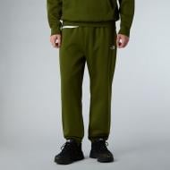 Брюки THE NORTH FACE M ESSENTIAL RELAXED STRAIGHT JOGGER NF0A8C1FBRI1 р. S зеленый
