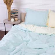 Наволочка Satin Stripe 30-0013+30-0002 Sensuous 70x70 см голубой/желтый MirSon