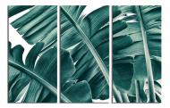 Картина модульная Листья пальмы 90x60 см WallArt 54444-3.1